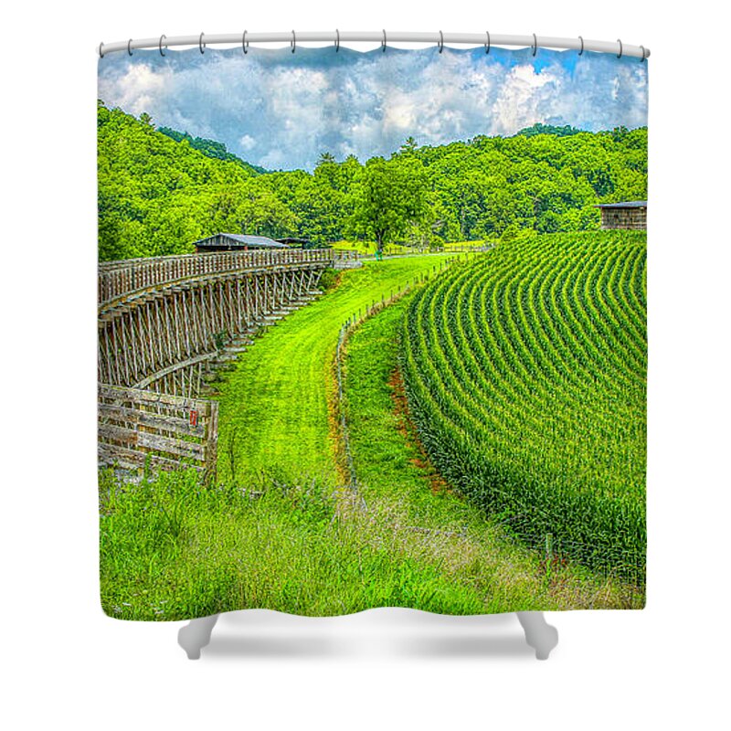Trestle Shower Curtain featuring the photograph Summer Trail Symmetry by Dale R Carlson