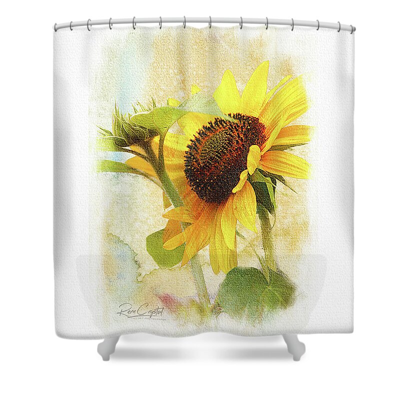 Sunflowers Shower Curtain featuring the photograph Summer's Big Yellow by Rene Crystal