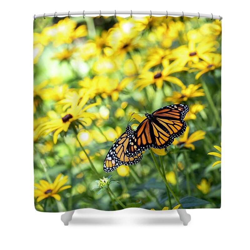 Ready To Fly Shower Curtain featuring the photograph Summer's Hope by Patty Colabuono