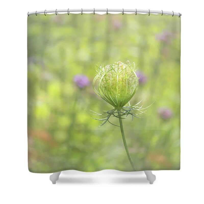 Summertime Shower Curtain featuring the photograph Summertime Garden by Sylvia Goldkranz