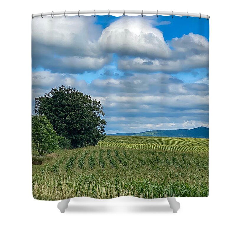 Washington County Shower Curtain featuring the photograph Summertime in Washington County by Kendall McKernon