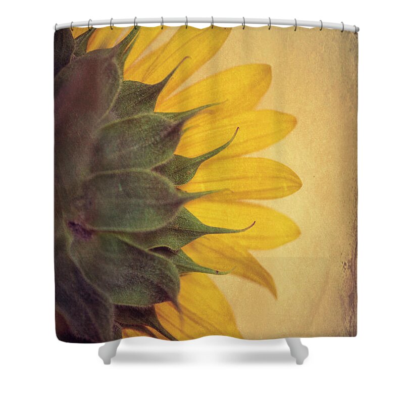 Sunflower Shower Curtain featuring the photograph Sun Left by Philippe Sainte-Laudy