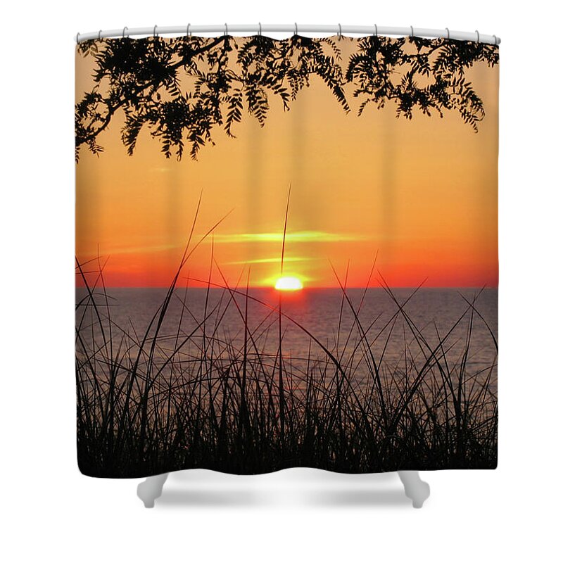 Oval Beach Shower Curtain featuring the photograph Sun Touched by Kathi Mirto