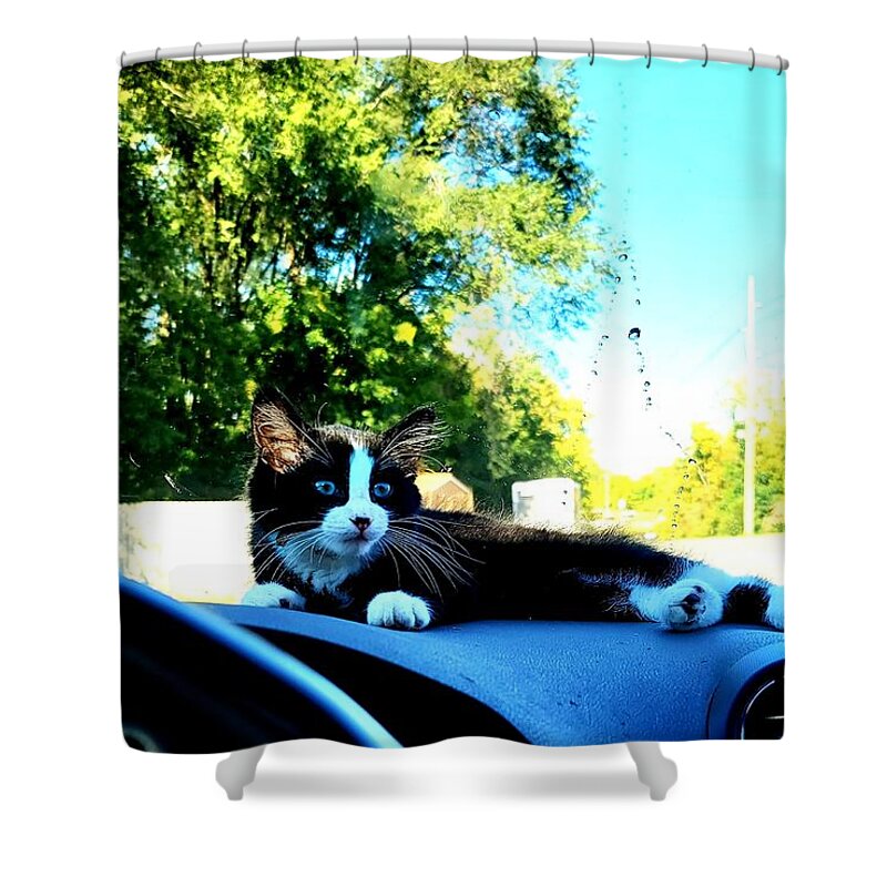 Sun Shower Curtain featuring the photograph Sunbathing on the dash by Shalane Poole