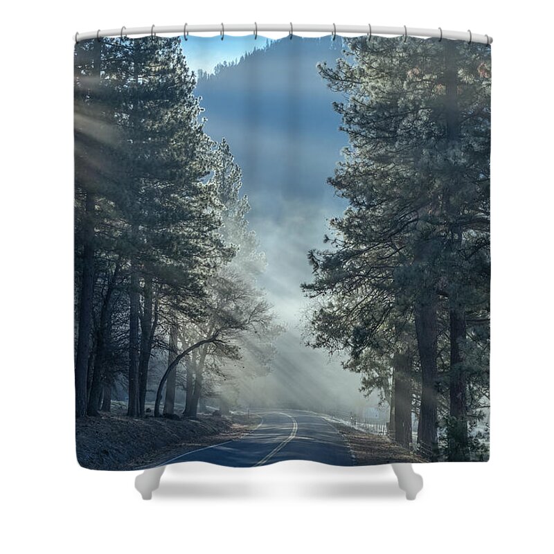 Road Shower Curtain featuring the photograph Sunbeam Drive by Randy Robbins