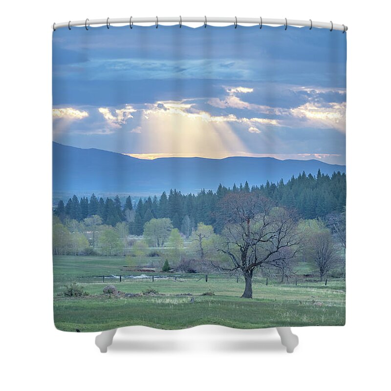 Sunbeam Shower Curtain featuring the photograph Sunbeam Meadow by Randy Robbins