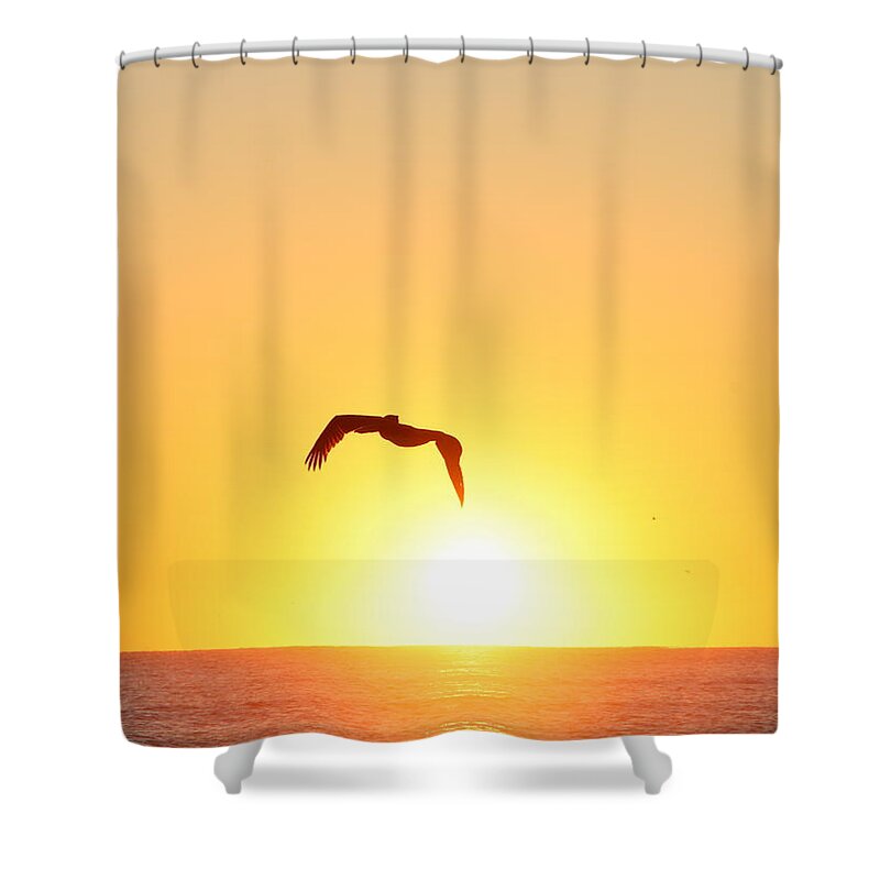 Pelican Shower Curtain featuring the photograph Sunbird by Kathleen Illes