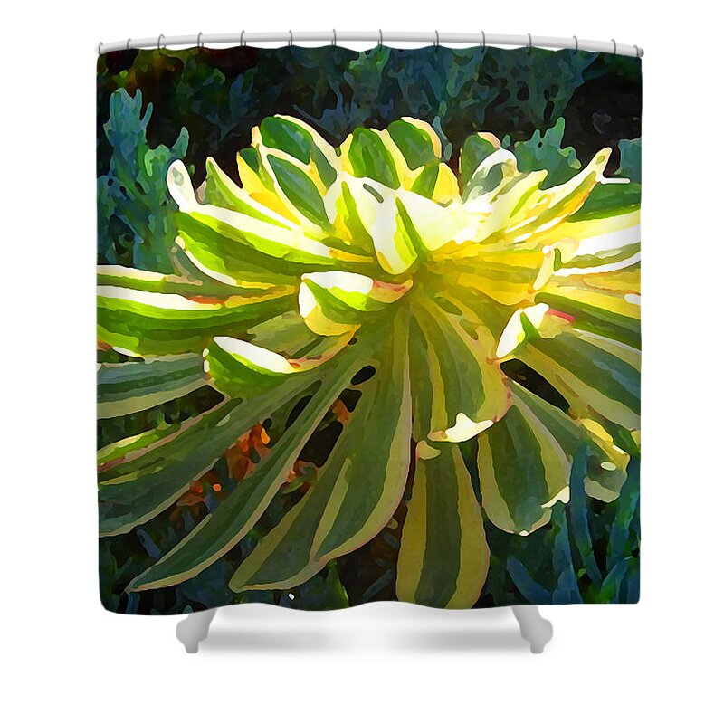 Succulent Shower Curtain featuring the painting Sunburst Succulent on Blue by Amy Vangsgard