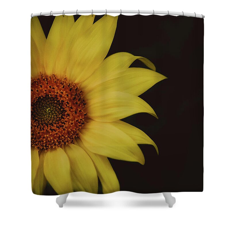 Sunflower Shower Curtain featuring the photograph Sunflower #2 by Ada Weyland