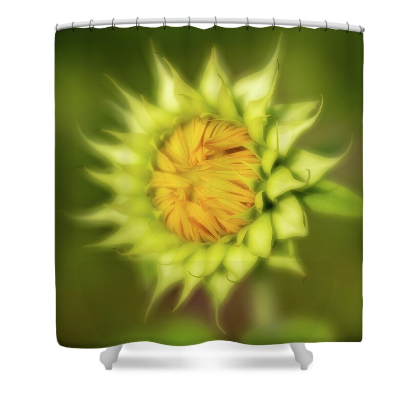 2020 Shower Curtain featuring the photograph Sunflower-3 by Charles Hite