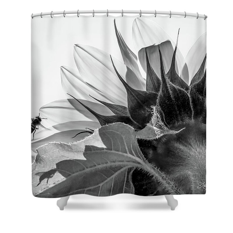 Sunflower Shower Curtain featuring the photograph Sunflower and the Busy Bee by Shara Abel