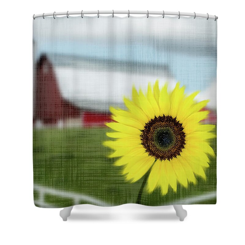 Sunflower Shower Curtain featuring the photograph Sunflower Farm by Patti Deters