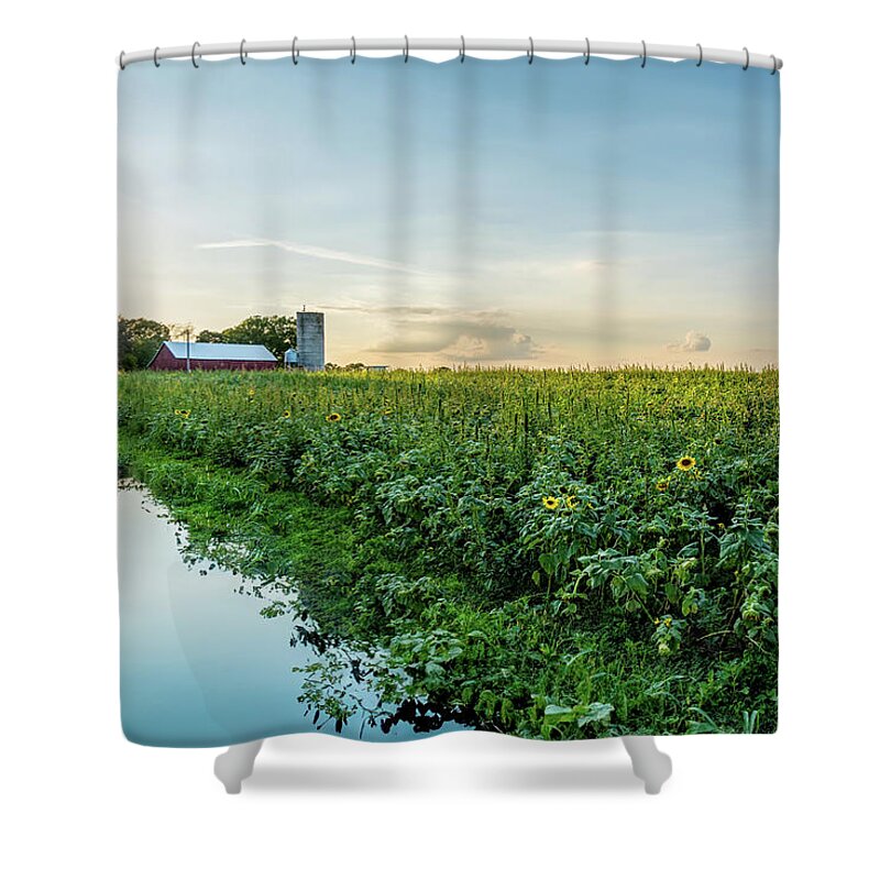 Sunflower Shower Curtain featuring the photograph Sunflower Field Reflections by Jennifer White