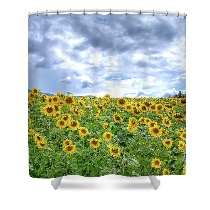 Purple Shower Curtain featuring the photograph Sunflowers by Paolo Signorini