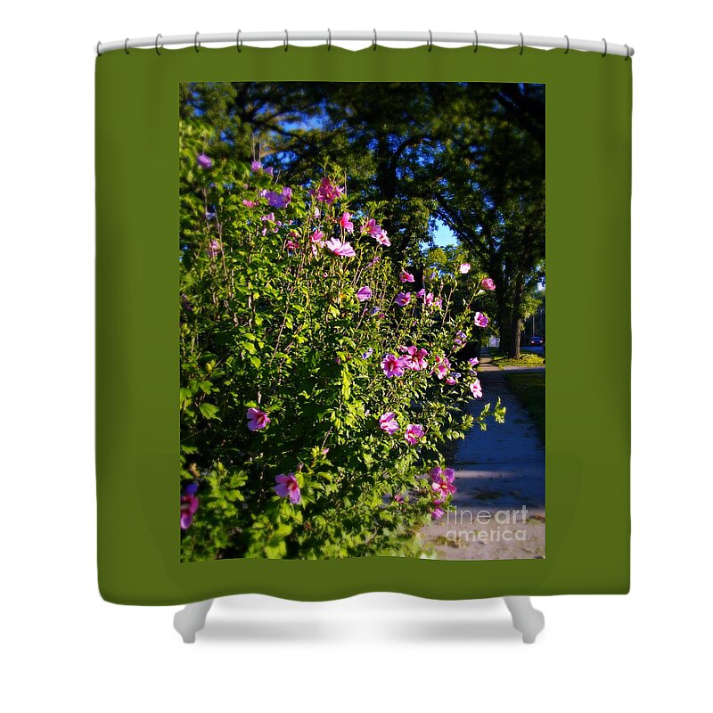 Nature Shower Curtain featuring the photograph Sunlit Pink Flowers by Frank J Casella