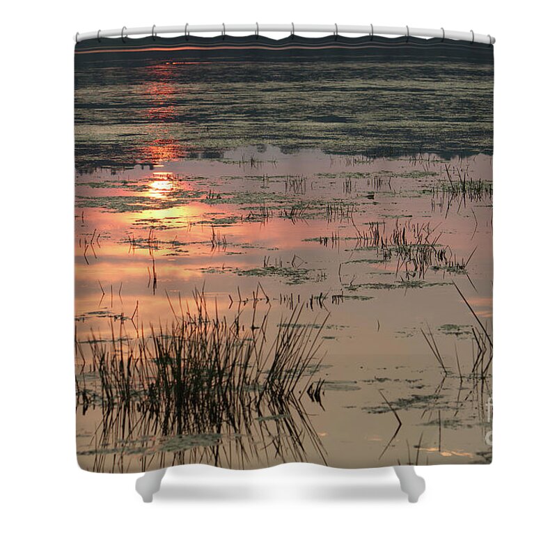 Marsh Shower Curtain featuring the photograph Sunny Marsh by Marc Champagne