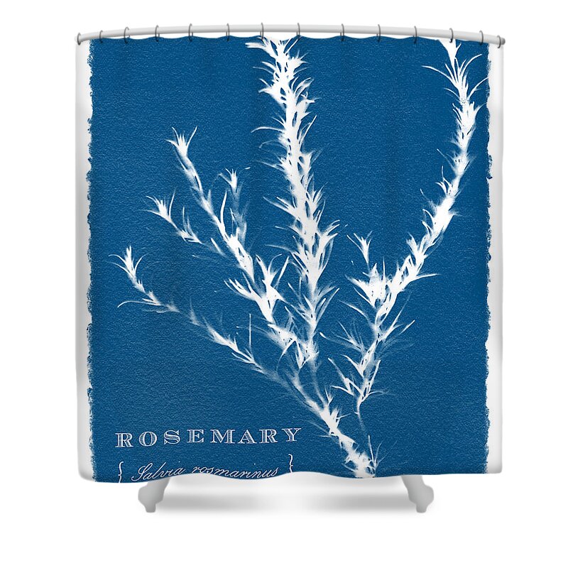 Blue Shower Curtain featuring the painting Sunprinted Herbs in Indigo - Rosemary - Art by Jen Montgomery by Jen Montgomery