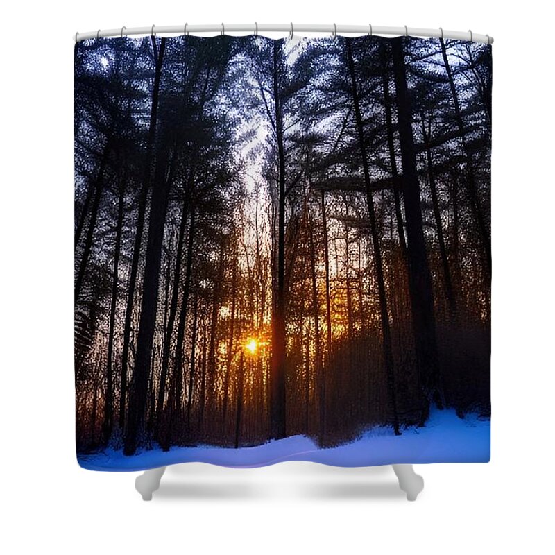 Dawn Shower Curtain featuring the photograph Sunrise Forest by Bonnie Bruno