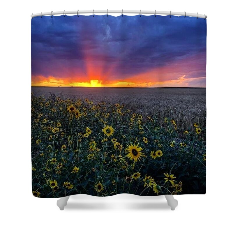 Sunset Shower Curtain featuring the photograph Sunset 1 by Julie Powell