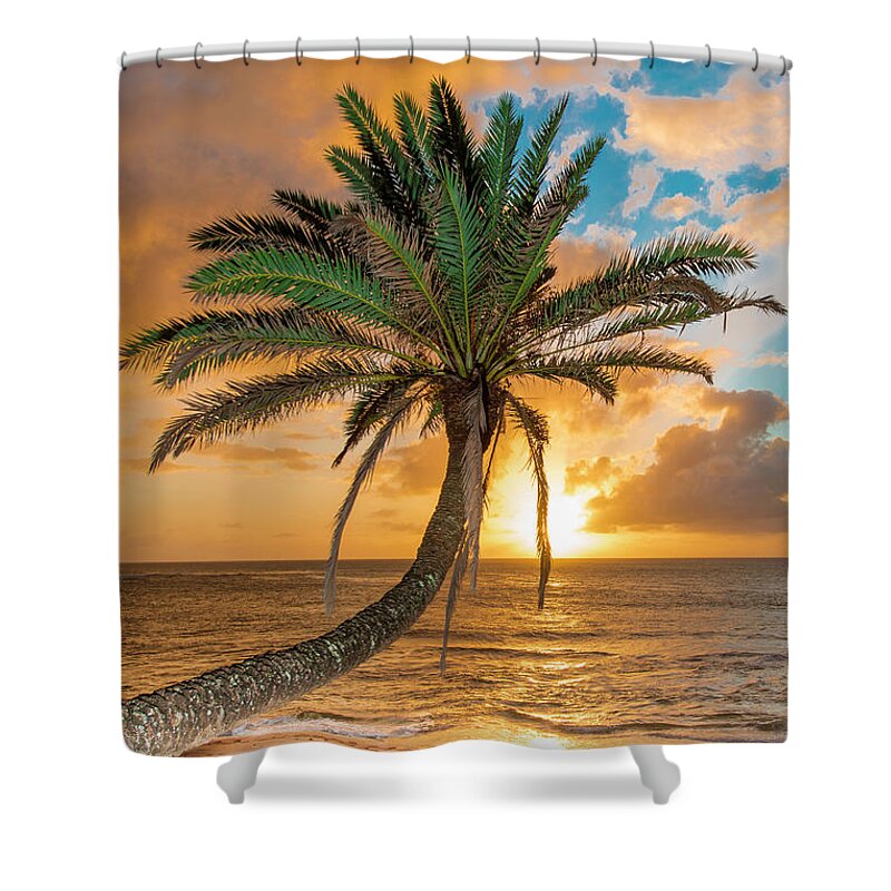 Sunset Beach Oahu Hawaii Palm Tree Shower Curtain featuring the photograph Sunset Beach Oahu Hawaii by Leonardo Dale