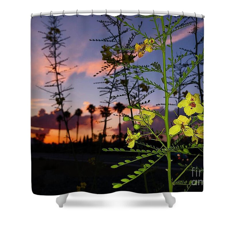 Sunset Shower Curtain featuring the photograph Sunset by Chris Tarpening