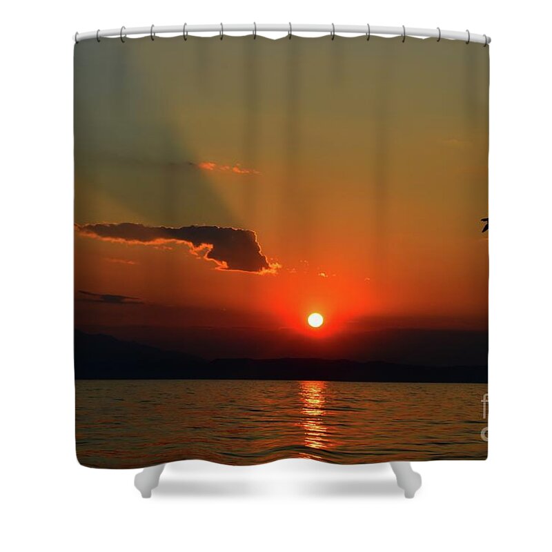 Harmony Shower Curtain featuring the photograph Sunset Dreaming And Bird by Leonida Arte