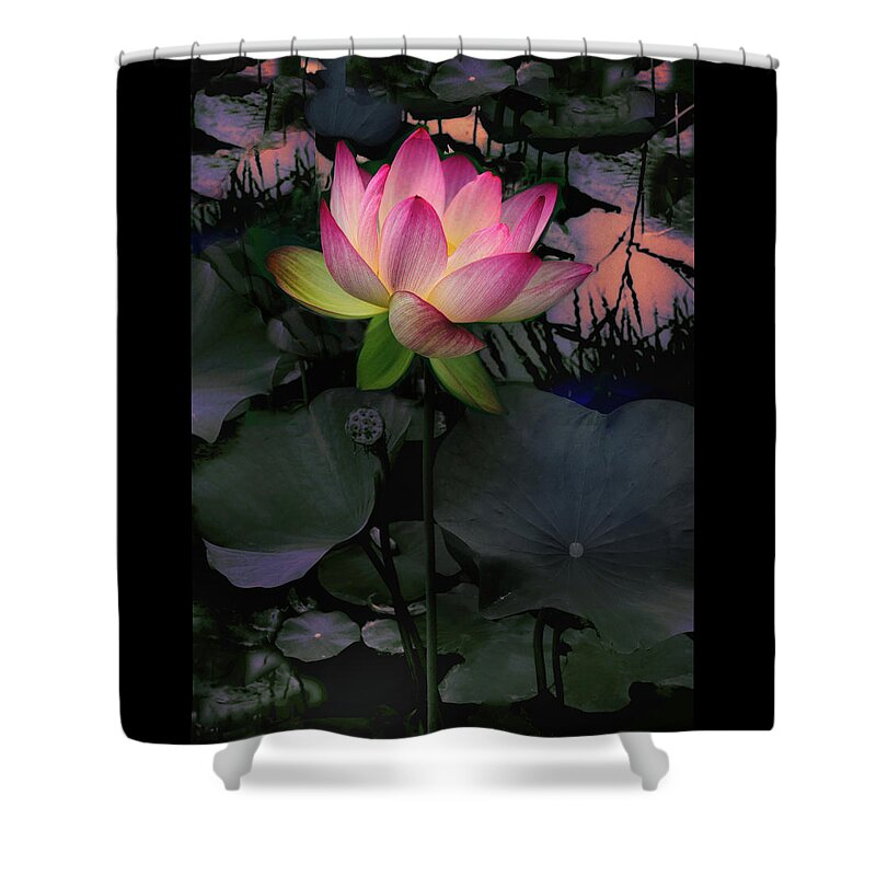 Lotus Shower Curtain featuring the photograph Sunset Lotus by Jessica Jenney