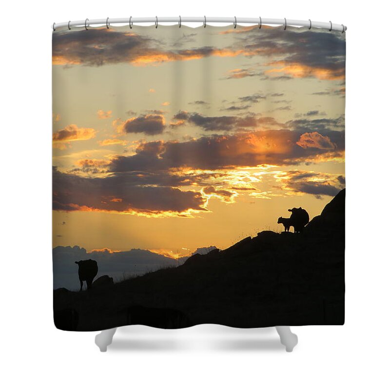 Cattle Shower Curtain featuring the photograph Sunset Lullaby by Katie Keenan