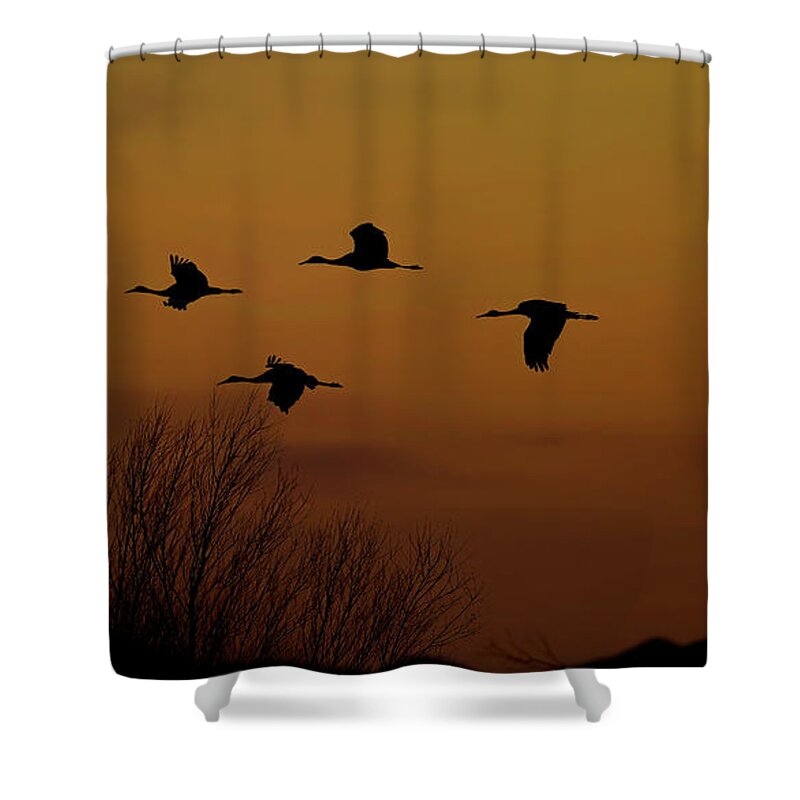 Bosque Shower Curtain featuring the photograph Sunset Sandhill Cranes by Gary Langley