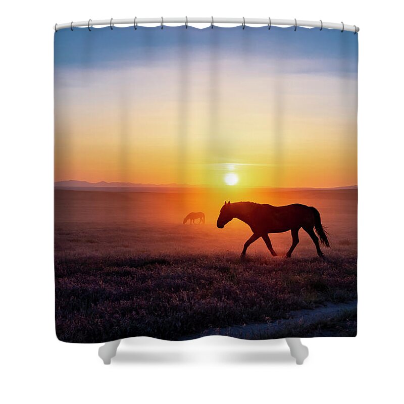 Horse Shower Curtain featuring the photograph Sunset Silhouette by Dirk Johnson