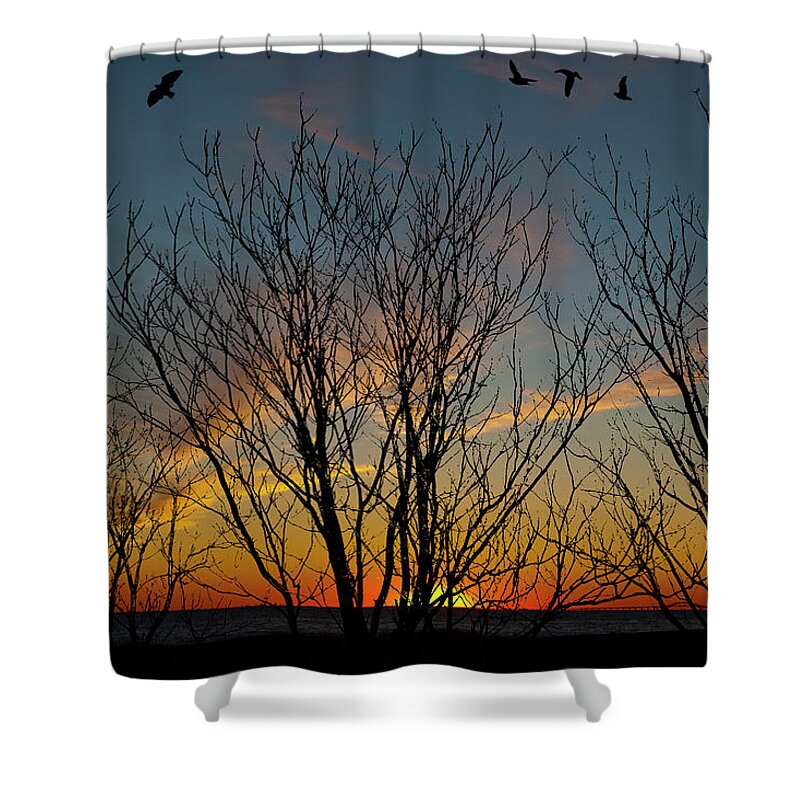 Sunset Shower Curtain featuring the photograph Sunset Through The Trees by Cathy Kovarik