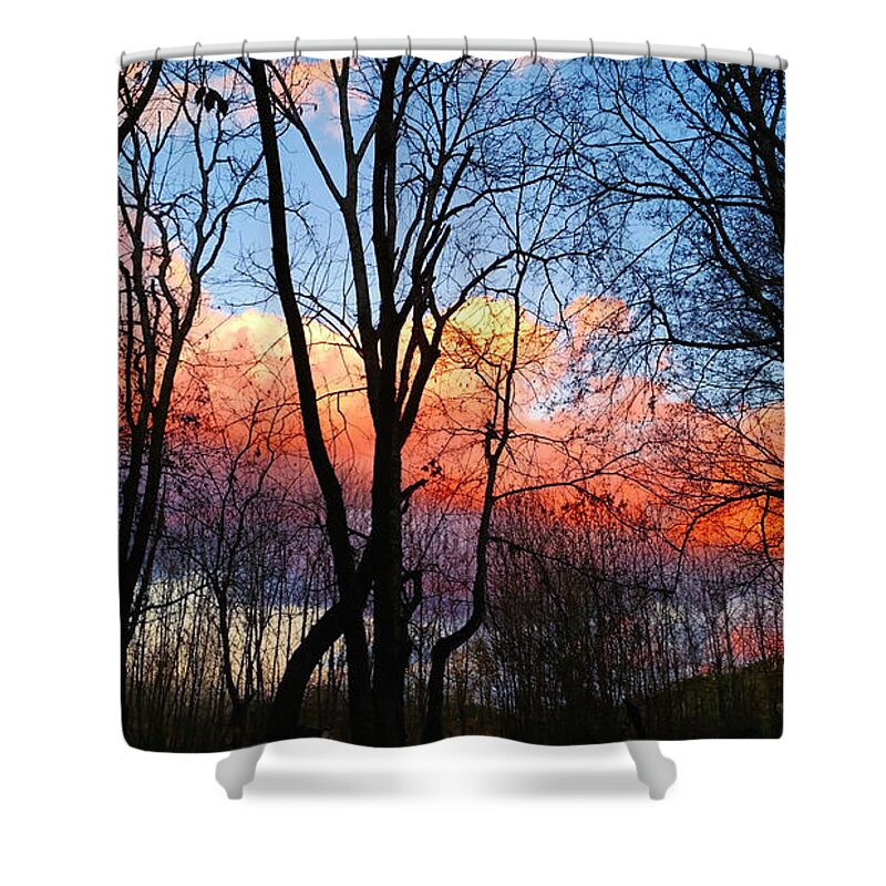 Nature Shower Curtain featuring the photograph Sunset Through the Woods by Ally White