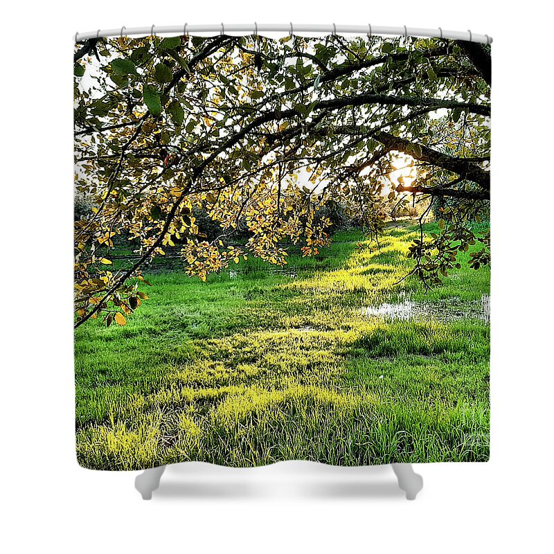 Photography Shower Curtain featuring the photograph Sunset Trail by Arik Baltinester