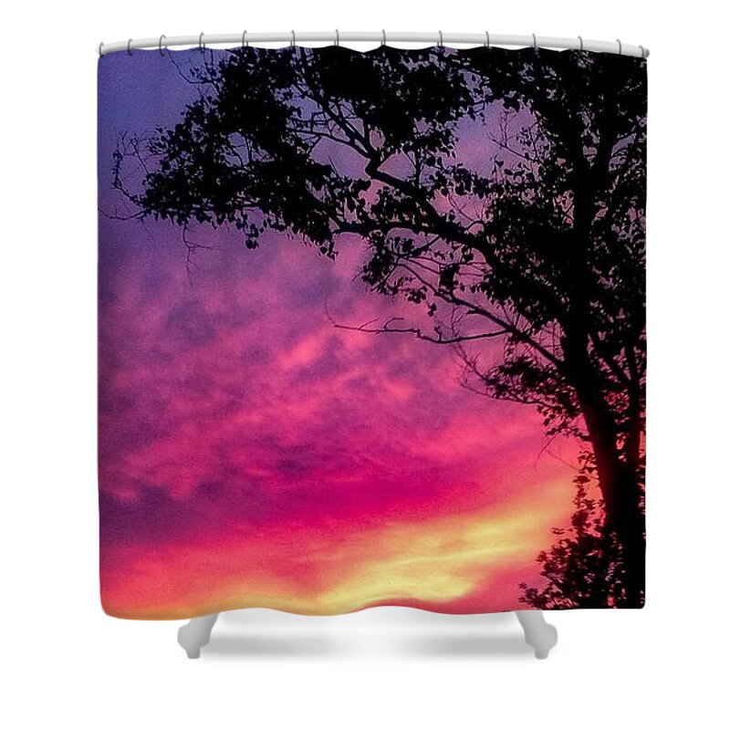 Sunset  Shower Curtain featuring the photograph Sunset with a tree by Kelsea Peet