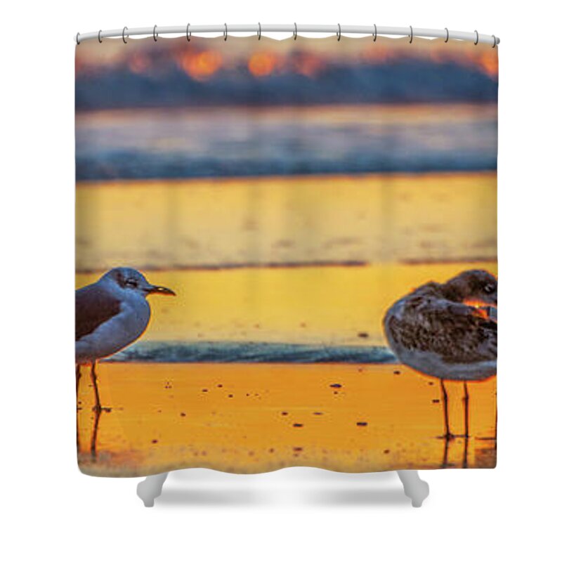 Bird Shower Curtain featuring the photograph Surfs Down by Rob Hemphill