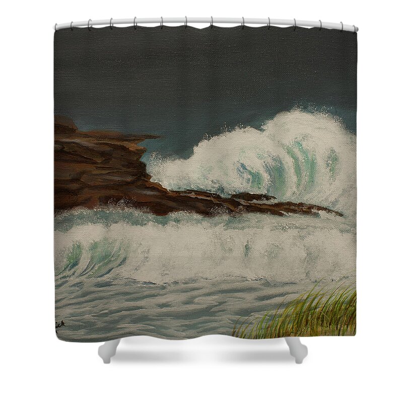 Seascape Shower Curtain featuring the painting Surfs Up by Terry Frederick