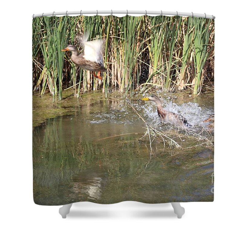 Surprised Shower Curtain featuring the photograph Surprised by Marie Neder