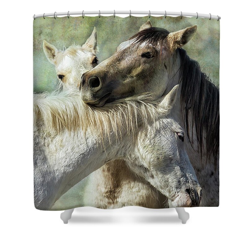 Wild Horses Shower Curtain featuring the photograph Surrounded by Love by Belinda Greb