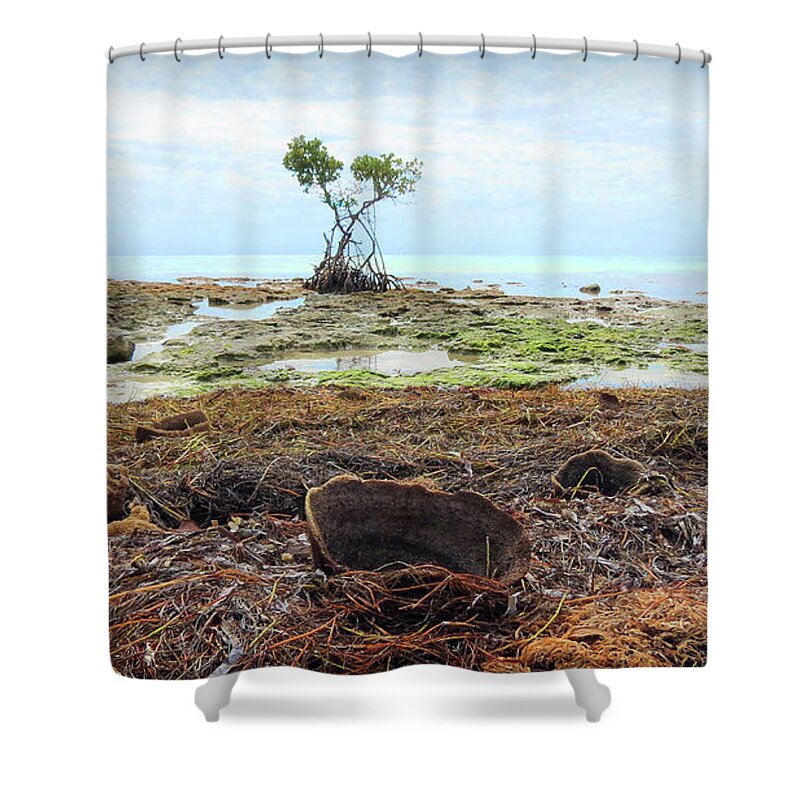 Mangrove Shower Curtain featuring the photograph Surroundings - Florida Mangroves Sponges by Chris Andruskiewicz