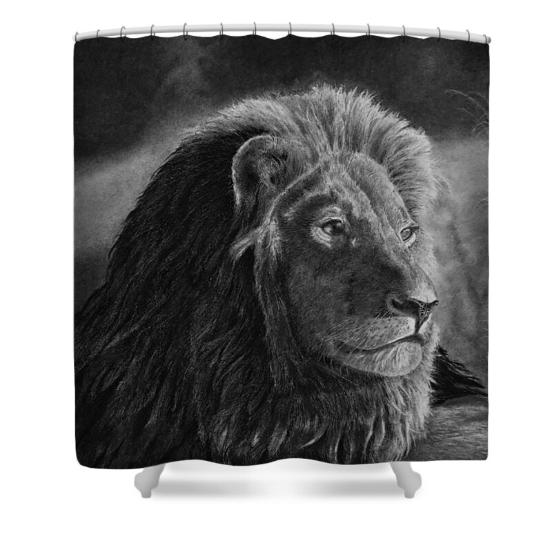 Lion Shower Curtain featuring the drawing Survey by Greg Fox