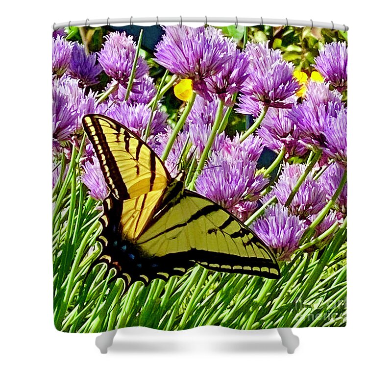 Butterfly Shower Curtain featuring the photograph Swallowtail in Bloom by Wendy Golden