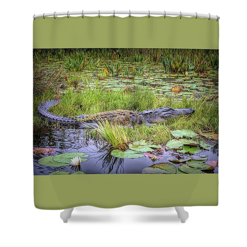 Alligator Shower Curtain featuring the photograph Swamp Creature by Karen Sirnick