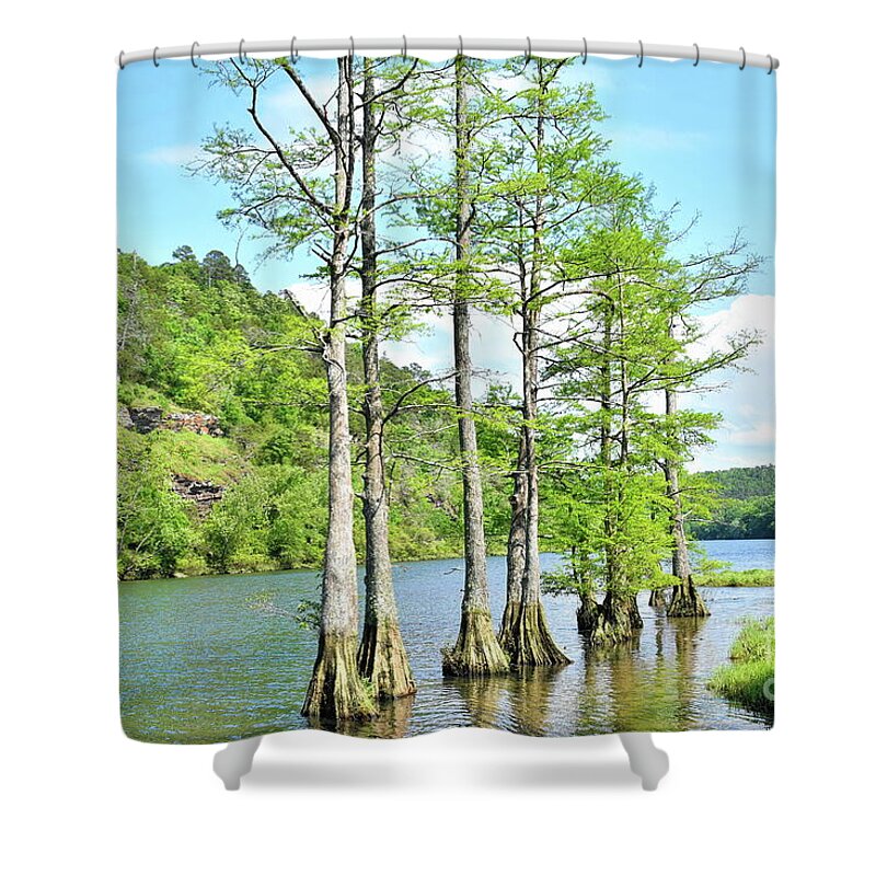 Mountain Shower Curtain featuring the photograph Swamp Tupelo Trees by Diana Mary Sharpton