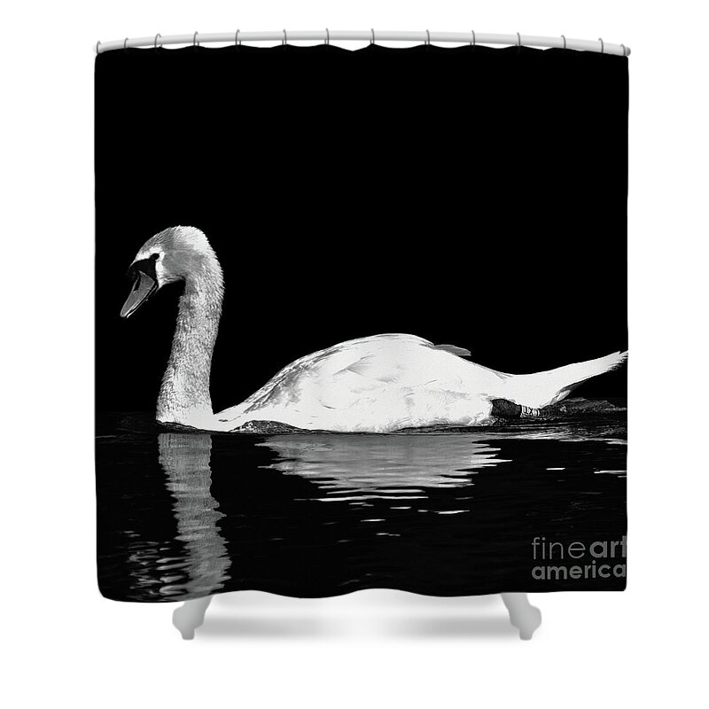 Mute Swan Shower Curtain featuring the photograph Swan - Black and White by Yvonne Johnstone