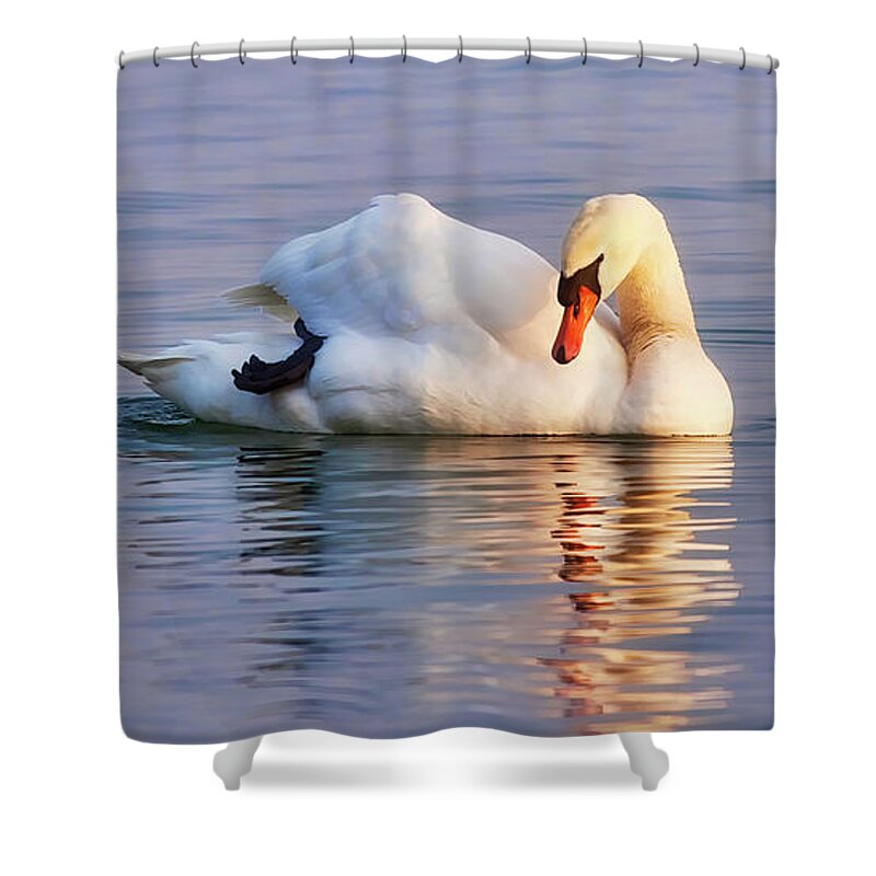 Swan Shower Curtain featuring the photograph Swan floating at twilight by Tatiana Travelways