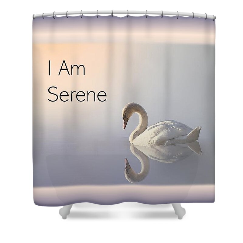 Swan Shower Curtain featuring the photograph Swan I Am Serene by Nancy Ayanna Wyatt