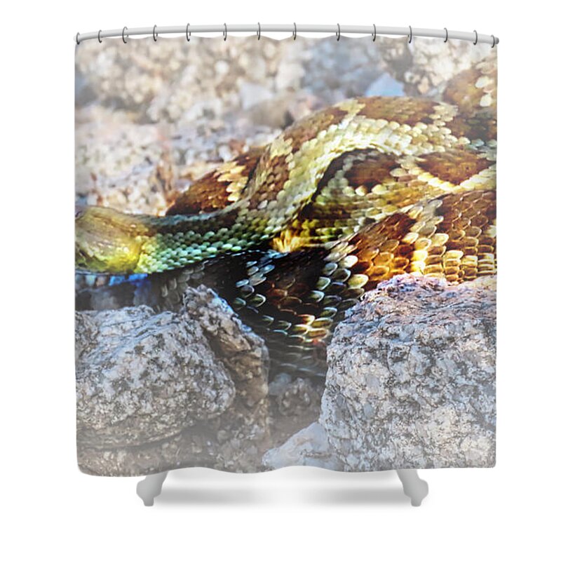 Affordable Shower Curtain featuring the photograph Sweet Honey in the Rock by Judy Kennedy