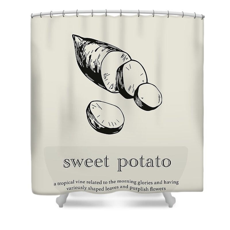 Sweet Potato Shower Curtain featuring the mixed media Sweet Potato Vegetable Vintage Minimalistic Kitchen Poster by Design Turnpike