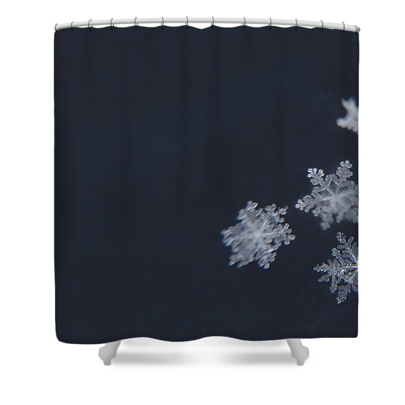 Snowflakes Shower Curtain featuring the photograph Sweet Snowflakes by Carrie Ann Grippo-Pike