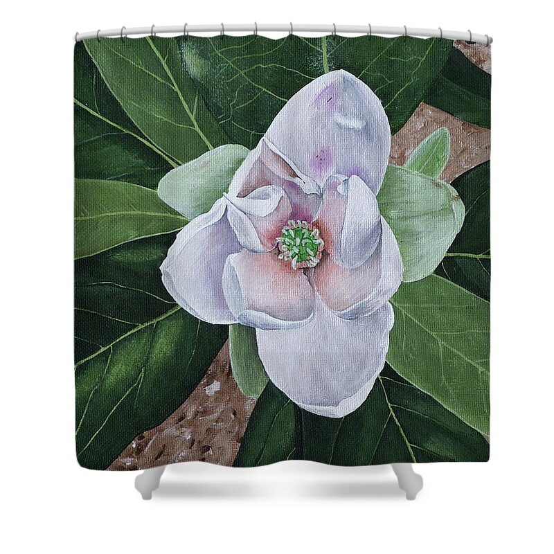 Sweetbay Magnolia Shower Curtain featuring the painting Sweetbay Magnolia by Heather E Harman